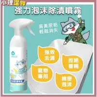 在飛比找蝦皮購物優惠-臭味滾 強力泡沫除漬噴霧500ml   強力除漬噴霧 汙垢 