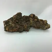 Coprolite Specimen 170806 Petrified Turtle Poop Stone Fossil Metaphysical