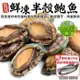 海肉管家-鮮凍半殼鮑魚共2包(每包30顆/約1kg±10%)【第2件送挪威鯖魚x3片】