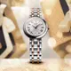 TISSOT 天梭 官方授權 BELLISSIMA SMALL LADY 羅馬石英女錶 母親節送禮-26mm T1260102201301