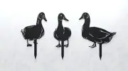 3-Pack Metal Farm Duck Yard Art