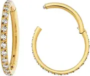[Pierced Koala] 2PCS Titanium Implant Grade 16G Gem Septum jewellery Hinged Segment Ring Body Piercing Nose Hoop Lip Clicker Tragus Daith Eyebrow Ring Helix Cartilage Rook Earrings
