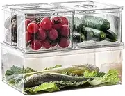 Set of 4 Refrigerator Organizer Box with Lid - Storage Boxes for Fridge, Freezer, Pantry, Kitchen Cabinet, Shelves - Plastic Containers to Store Fruit, Spices, Vegetable, Fish, Meat