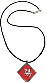 English Pendragon Anglo Saxon Diamond Shaped Pendant With Black Cord + Gift Bag
