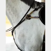 Artemis 5-Point Breastplate