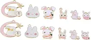 Anneome 12 Pcs Easter Bunny Pendant Flower Pot Bracket Hook Clothes Hanger Clothes Hanger Decals Decals Juicy Kits Small Animal Keychain Easter Egg Keychain Rabbit Key Chain Alloy