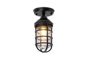 Exterior Black Cylinder Aluminium & Glass with Cage Ceiling Wall light IP44