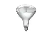 Globe Heat Lamp ES Reflector 150W 2300K 800LM