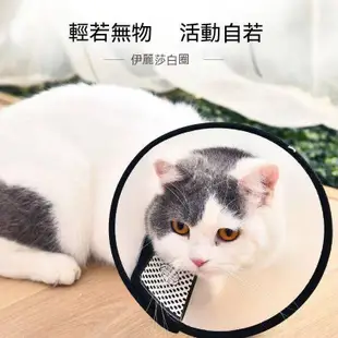 伊莉莎白頸圈狗狗防舔頭套伊莉莎白圈猫咪防舔頭套伊麗莎白頭套寵物頭套狗項圈防舔圈狗狗頭