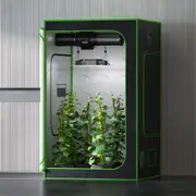 Clearance EverGrow Indoor Hydroponics Grow Tent Sizes from 60cm to 150cm Mylar 600D