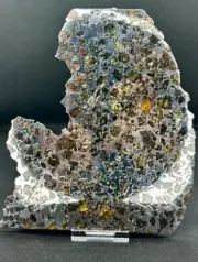 SEYMCHAN METEORITE PALLASITE ENDCUT SPECIMEN 533 g