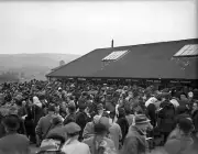 Horse Racing Crowds at Cheltenham for the Cheltenham Gold Cup Old Photo