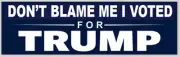 Don't Blame Me I Voted For Donald Trump 2024 3x10 Navy Vinyl Bumper Sticker