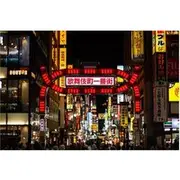 Save 18.00%! Tokyo Local Flavors Night Tour in Shinjuku