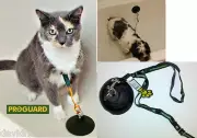 CAT Small DOG STAY&WASH HOLD EM BATH TUB RESTAINT Harness Loop &Suction Cup