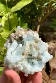 Celestial Aquamarine var. Beryl Cluster with Muscovite