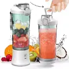 Portable Blender, 600Ml Personal Size Blender for Shakes and Smoothies with 6 Bl