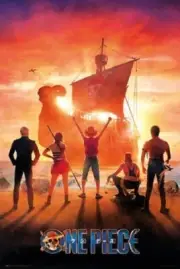 One Piece 24 X 36 POSTEER