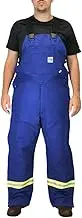 Carhartt Men's 101628 Flame-Resistant Striped Duck Bib Overall - Quilt Lined