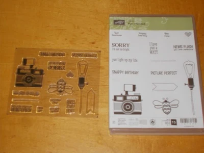 Stampin'Up! PUN INTENDED photopolymer set 15 stamps NEW