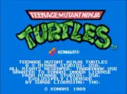 TMNT 1989 Jamma Arcade 2 or 4 Player EPROM Conversion Kit
