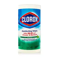 在飛比找蝦皮購物優惠-【CLOROX】清潔制菌濕紙巾(清新香) 85抽