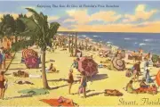 Wall Art Print Enjoying the Sun in Stuart, Florida, 18" x 12"