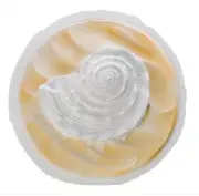 Biodegradable Shell Urn for Scattering Cremated Ashes Ocean Water, Ground, Sea