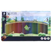 Staedtler Tin of 36 Noris Colour Pencils Drawing & Colouring Pencils - Assorted