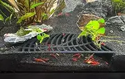LifeWithPets Shrimp Breeding Hide | Cave | Tunnel | Black