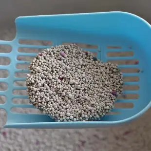 MODBI摩多比 莉莎 艾莎 圓球凝結膨潤土貓砂(5L/4kg) 貓砂 礦砂 小包裝 現貨 蝦皮直送