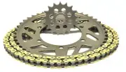 BMW S1000R (525 EO) 21> AFAM Chain & Sprocket Kit