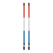 ECOXGEAR 4 Foot Whip LED Kit W/ Controller