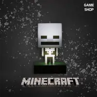 在飛比找蝦皮商城優惠-現貨 Paladone UK Minecraft麥塊 骷髏苦