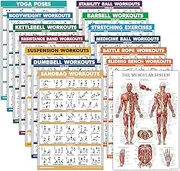 14 Pack - Exercise Poster Set: Dumbbell, Suspension, Kettlebell, Resistance Bands, Stretching, Muscular, Medicine Ball, Battle Rope, Bodyweight, Barbell, Yoga, Exercise Ball (LAMINATED, 18" x 24")