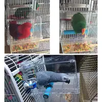 在飛比找蝦皮購物優惠-CAITEC美國 鸚鵡防灑食盒 大中型鸚鵡用 可節省鳥糧保持