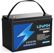 LiFePO4 Battery, 12V 100 Ah 1280 Wh Lithium Battery