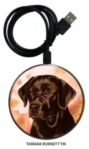 Labrador Retriever English Zoomies Phone and Device Charger