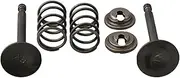 WQWQW Intake Inlet Exhaust Valve Spring-Collet Retainer Set for Honda GX200 168F 170F 5.5-6.5HP Gas Engine-Motor Generator Mower