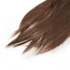 Light Brown Straight Wigs High Temperature Fiber Women Light Brown Wig With WTD