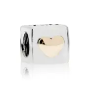 Pandora Love You Charm 790200