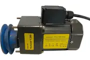 DIZZY LAMB 25W MOTOR WITH PULLEY (40 KGS CAPACITY) - MO23