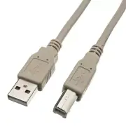 USB 2.0 Printer Scanner Cable Type A Male to Type B Male (25ft) - Beige