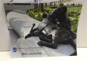 NATIONAL LAW ENFORCEMENT OFFICERS MEMORIAL FUND 2018 CALENDAR. SO COOL. NEW!