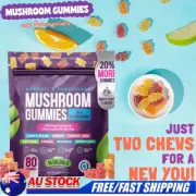 Ashwagandha Functional Mushroom Gummies Brain Health Supplement 80-480 Gummies
