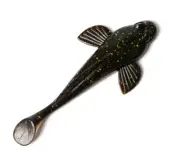 3pc CatFish Lure! fishing bait! bass, trout! Soft plastic bait!Paddle tail! Goby