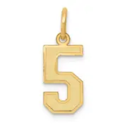 14k Yellow Gold 14k Small Satin Number 5 Charm