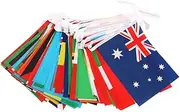 BUTIFULSIC National String Flag Banner Countries World Flags Bunting Bar Decorations School Events Sports Clubs Festivals Parties