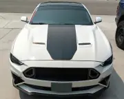 2018-2021 Ford Mustang Hood Stripe W/ Pinstripes Vinyl Graphics Decals Mach 1
