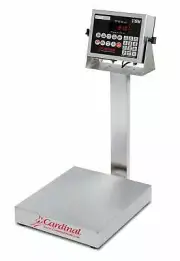 Detecto EB-30-210 Bench Scale, 12" x 10", 30lb Capacity, 210 Indicator